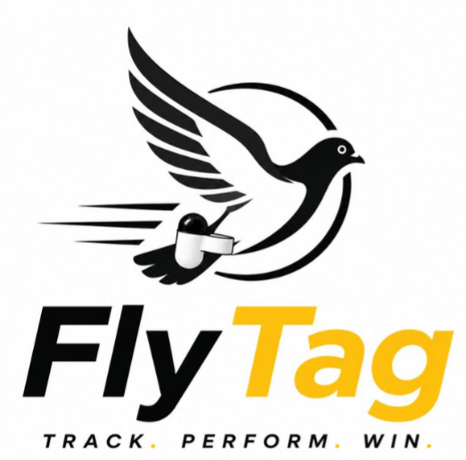 FlyTag - Track. Perform. Win.